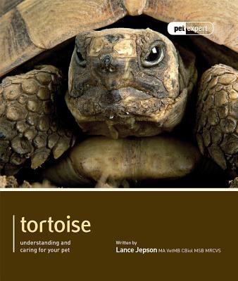 Tortoise - Pet Expert: Understanding and Caring for Your Pet - Lance Jepson - cover