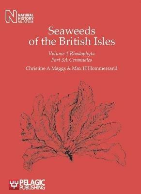 Seaweeds of the British Isles: Rhodophyta: Ceramiales - Christine A Maggs,Max H. Hommersand - cover