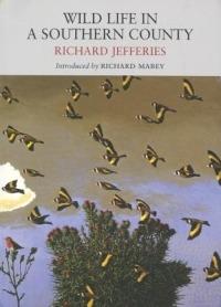 Wild Life in a Southern County - Richard Jefferies - cover