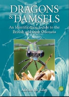 Dragons and Damsels: An identification guide to the British and Irish Odonata - Adrian Riley - cover