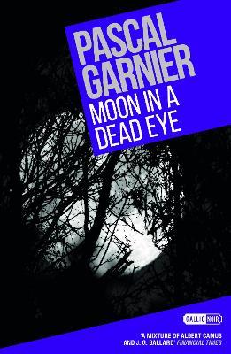 Moon in a Dead Eye - Pascal Garnier - cover