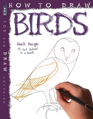 How To Draw Birds - Mark Bergin - cover