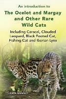 An introduction to The Ocelot and Margay and Other Rare Wild Cats Including Caracal, Clouded Leopard, Black Footed Cat, Fishing Cat and Iberian Lynx