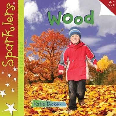 Wood: Sparklers - Out and About - Katie Dicker - cover
