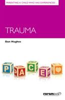 Parenting a Child Who Has Experienced Trauma - Dan Hughes - cover