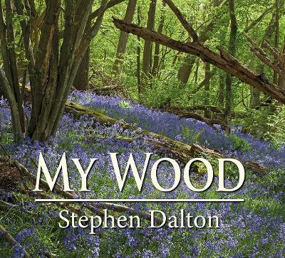 My Wood - Stephen Dalton - cover