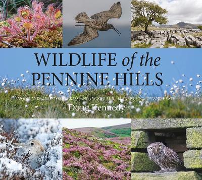 Wildlife of the Pennine Hills: Moorland : Limestone : Grassland : Woodland : Blanket Bog : Upland Heath - Doug Kennedy - cover