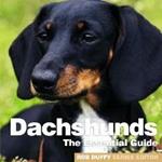 Dachshunds: The Essential Guide