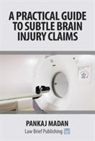 A Practical Guide to Subtle Brain Injury Claims