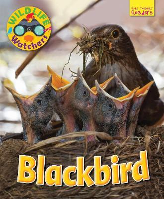 Wildlife Watchers: Blackbird - Ruth Owen - cover