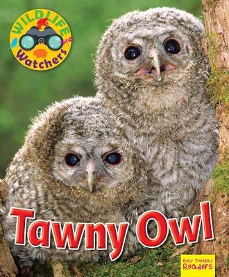 Wildlife Watchers: Tawny Owl - Ruth Owen - cover