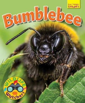 Wildlife Watchers: Bumblebee - Ruth Owen - cover