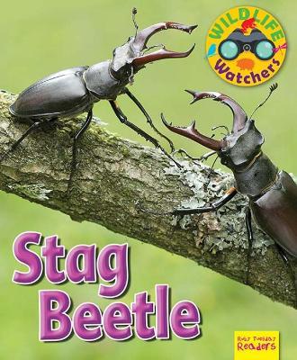 Wildlife Watchers: Stag Beetle - Ruth Owen - cover