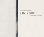 Callum Innes - a pure land