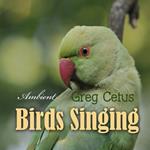 Birds Singing