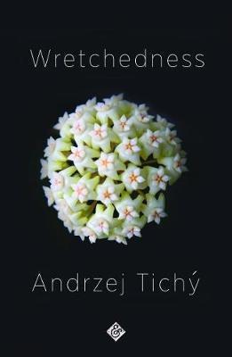 Wretchedness: Winner of the 2021 Oxford-Weidenfeld Translation Prize - Andrzej Tichy - cover