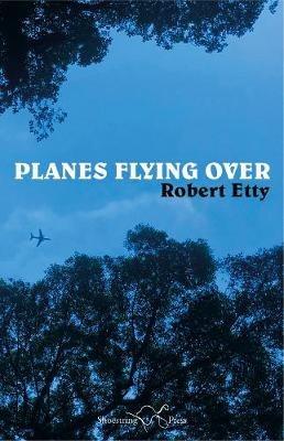 Planes Flying Over - Robert Etty - cover