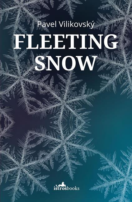 Fleeting Snow