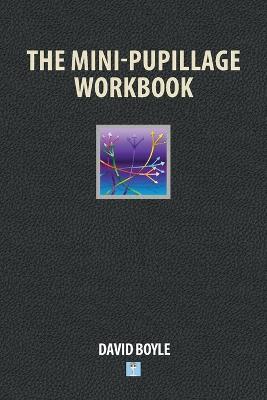 The Mini-Pupillage Workbook - David Boyle - cover