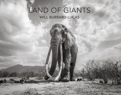 Land of Giants - cover