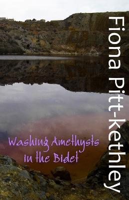 Washing Amethysts in the Bidet - Fiona Pitt-Kethley - cover