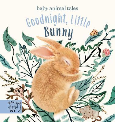 Goodnight, Little Bunny: A book about being brave - Amanda Wood - cover