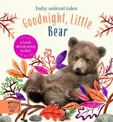 Goodnight, Little Bear: A Book About Going to Bed - Amanda Wood - cover