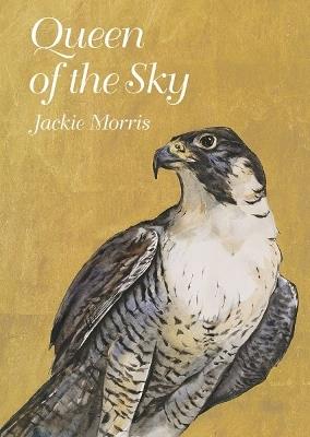 Queen of the Sky - Jackie Morris - cover