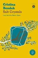 Salt Crystals - Cristina Bendek - cover