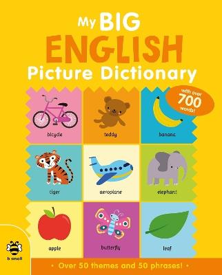 My Big English Picture Dictionary - Catherine Bruzzone,Vicky Barker - cover