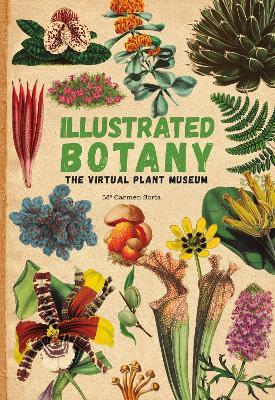 Illustrated Botany: The Virtual Plant Museum - Carmen Soria - cover
