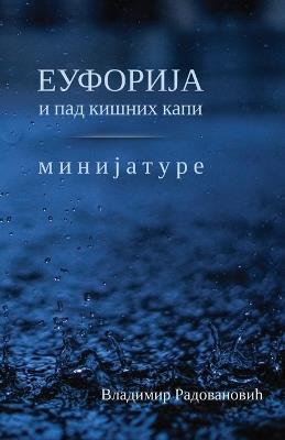 Euforija i pad kisnih kapi Minijature - Vladimir Radovanovic - cover
