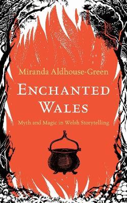 Enchanted Wales: Myth and Magic in Welsh Storytelling - Miranda Aldhouse-Green - cover