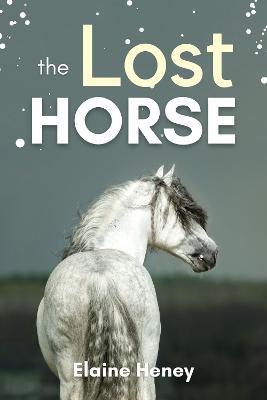 The Lost Horse: Book 6 in the Connemara Horse Adventure Series for Kids - Elaine Heney - cover