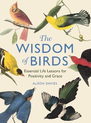 The Wisdom of Birds: Essential Life Lessons for Positivity and Grace - Alison Davies - cover