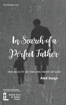 In Search of a Perfect Father - Aled Seago - cover