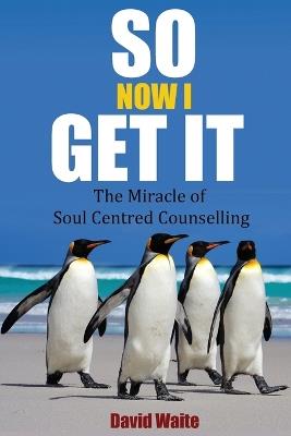 So Now I Get It: The Miracle of Soul-Centred Counselling - David Waite - cover