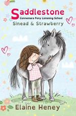 Saddlestone Connemara Pony Listening School | Sinead and Strawberry - Dyslexia Friendly