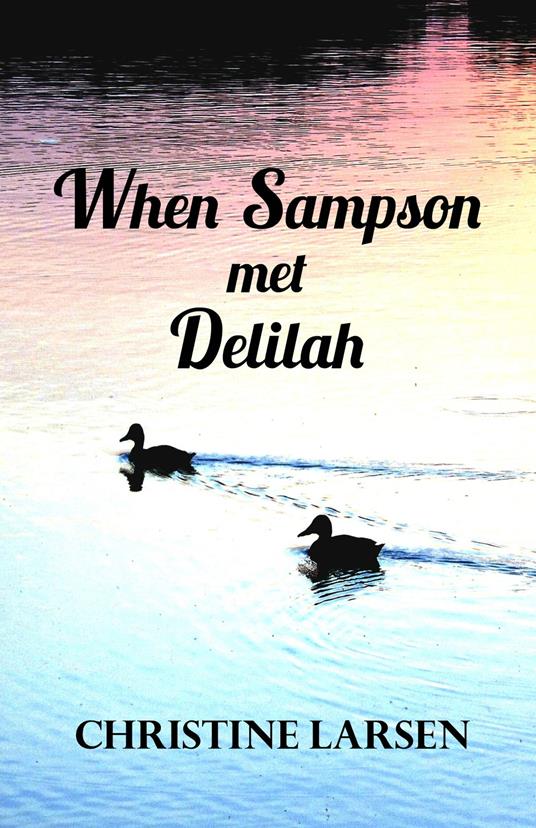 When Sampson met Delilah - Christine Larsen - ebook