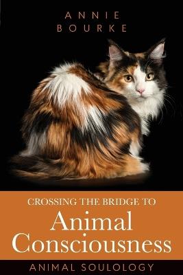 Crossing the Bridge to Animal Consciousness: Animal Soulology - Annie Bourke - cover
