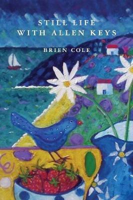 Still Life with Allen Keys - Brien Cole - cover