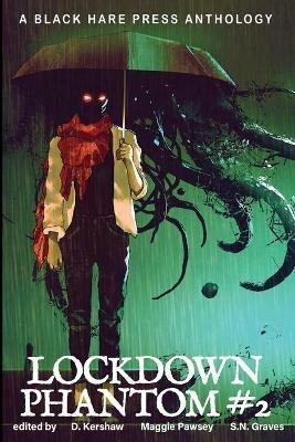 Lockdown Phantom #2 - cover