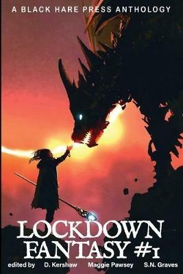 Lockdown Fantasy #1 - cover