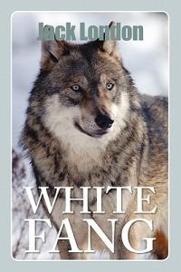 White Fang - Jack London - cover