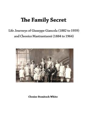 The Family Secret - Clenise White - cover