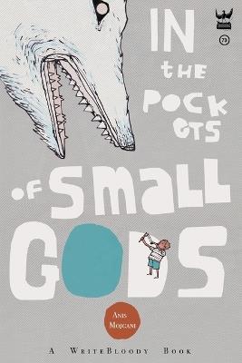 In the Pockets of Small Gods - Anis Mojgani - cover