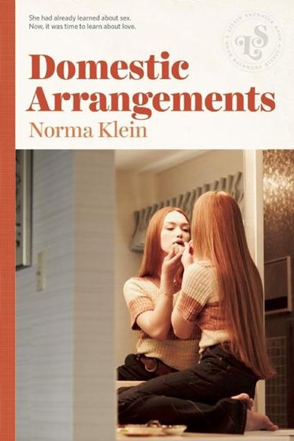 Domestic Arrangements - Norma Klein - ebook
