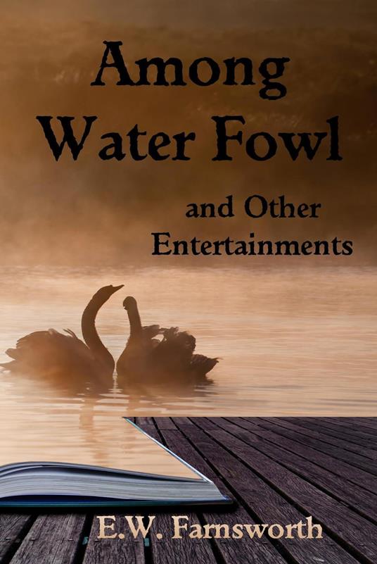 Among Water Fowl and Other Entertainments