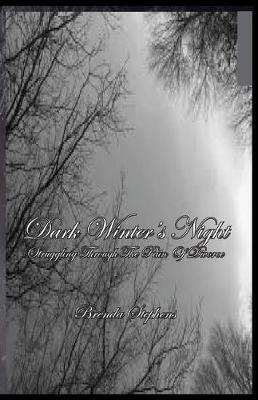 Dark Winter's Night: Struggling Through The Pain Of Divorce - Brenda Stephens - cover