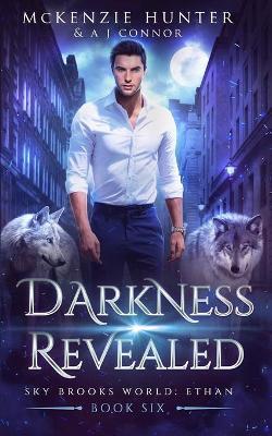Darkness Revealed - McKenzie Hunter,A J Connor - cover